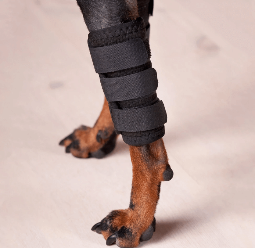 Hundegelenkschoner