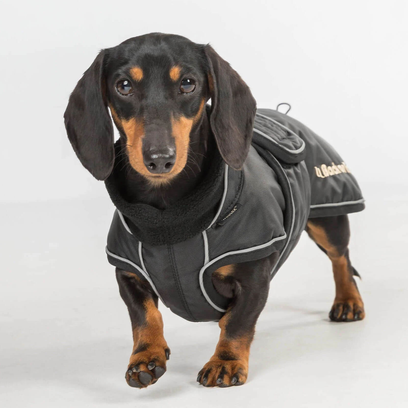 Hundemantel Buddy Regenmantel