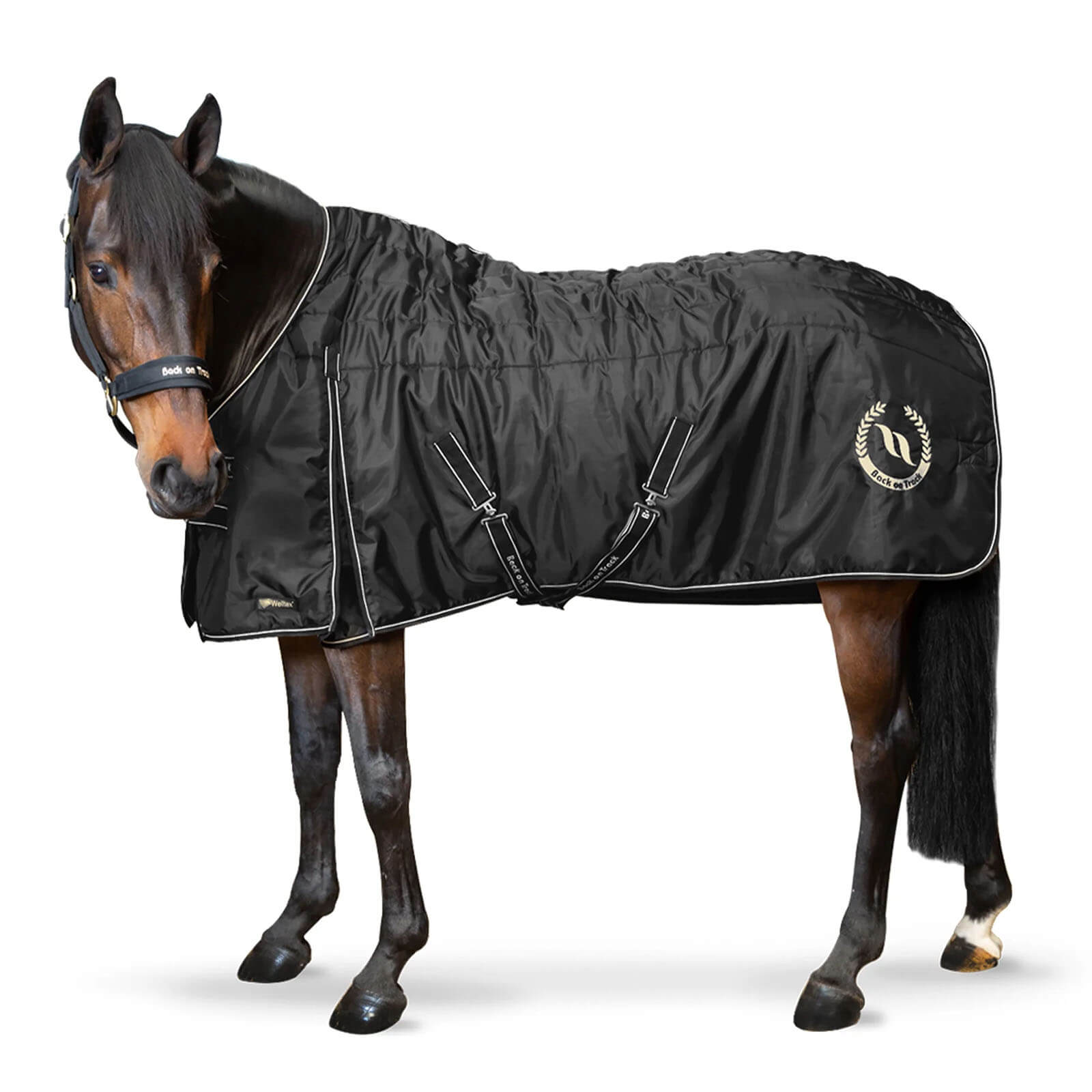 Stalldecke 100g Millie