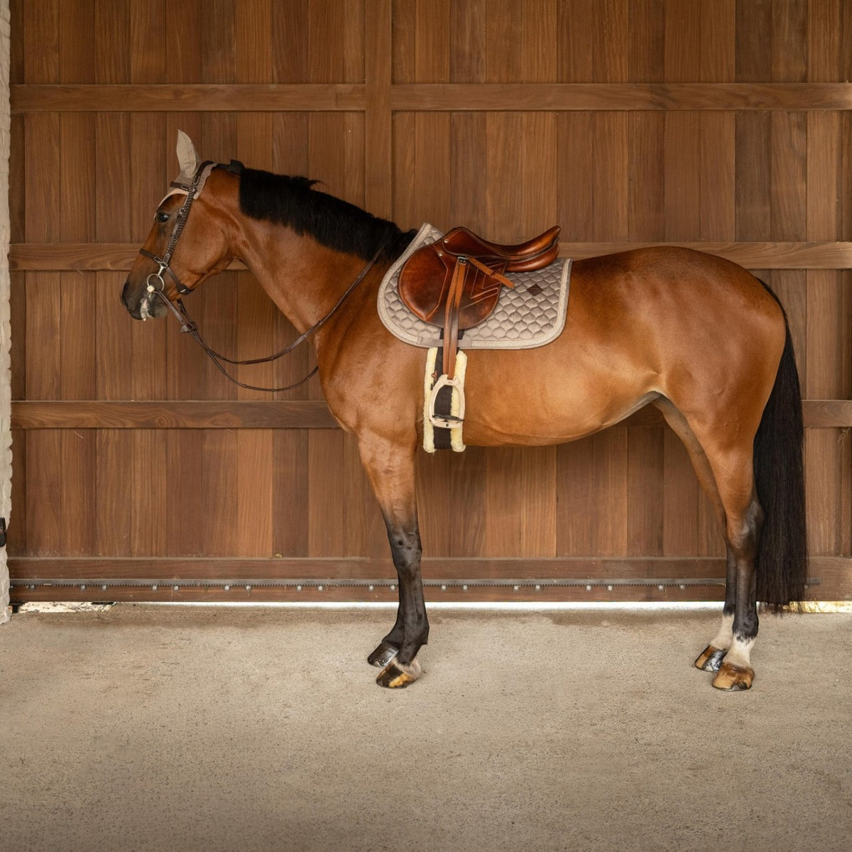 Bonnet anti-mouches Wellington Plaited Glitter Rope