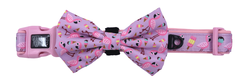 Collar & Bow Tie