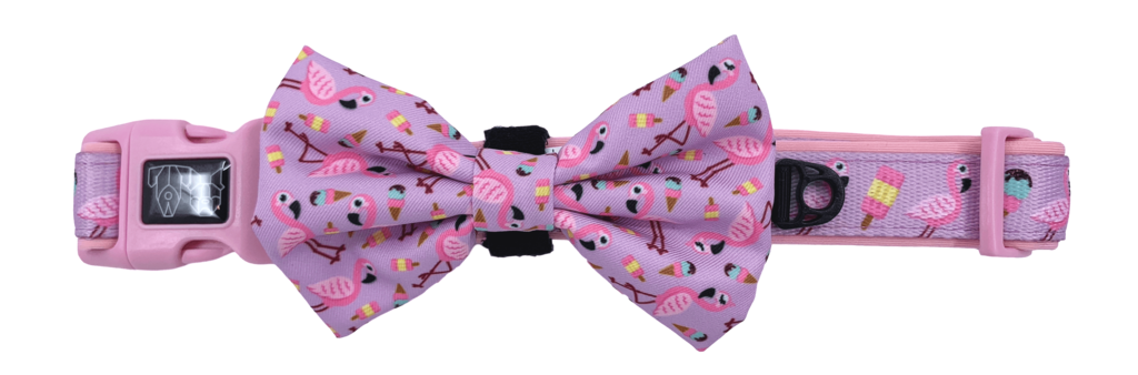 Collar & Bow Tie