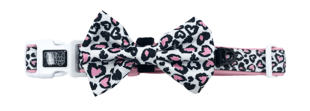 Collar & Bow Tie