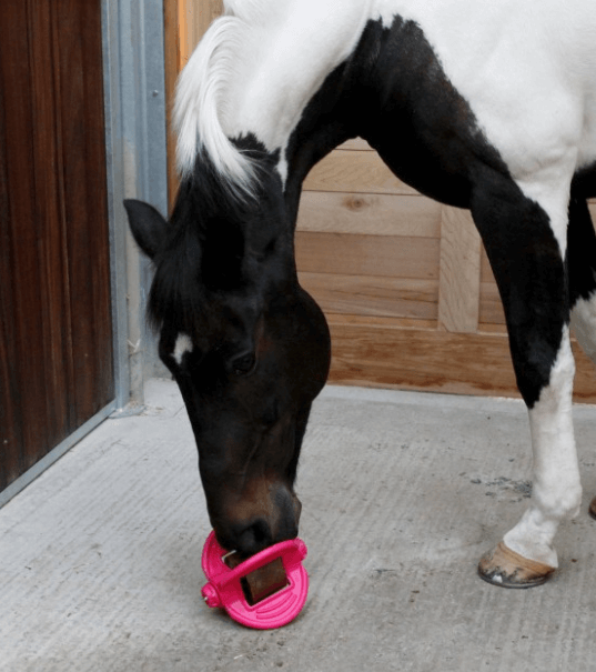 Bizzy Ball Leckstein Halterung Pferd, Pink, Pferd benutzt das Produkt im Stall.