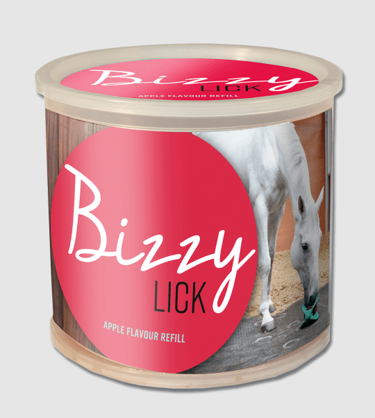 Bizzy Ball Lick Stone Horse