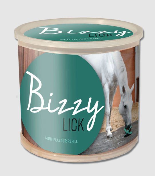 Bizzy Ball Lick Stone Horse