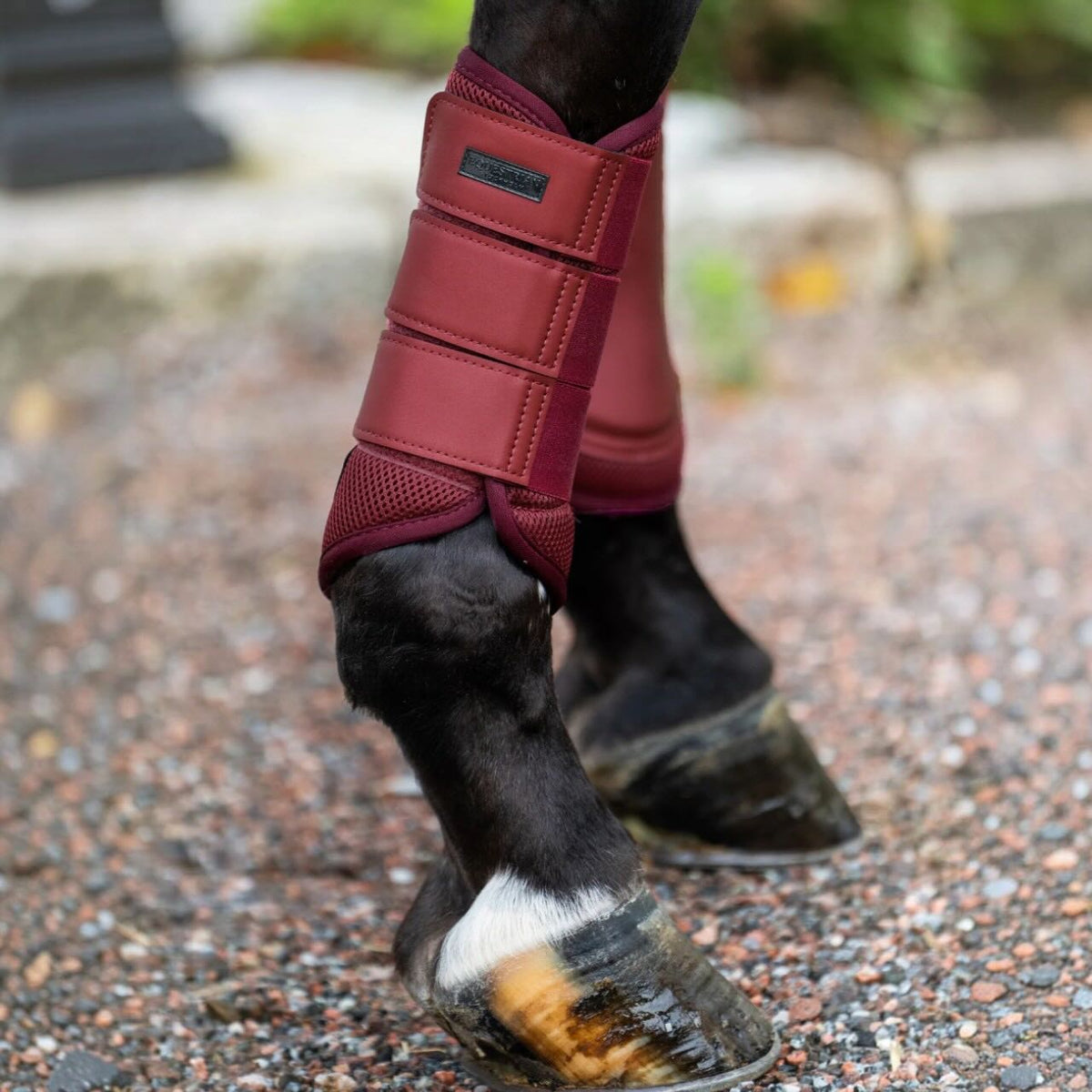 Dressurgamaschen Bordeaux Mesh Brushing Boots