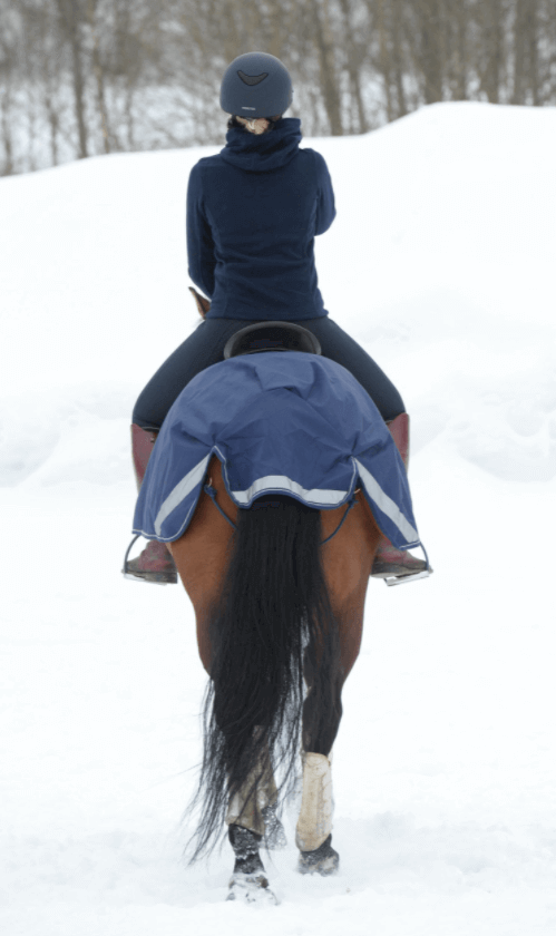 Ausreitdecke Riding Rug