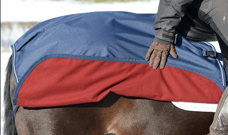 Ausreitdecke Riding Rug
