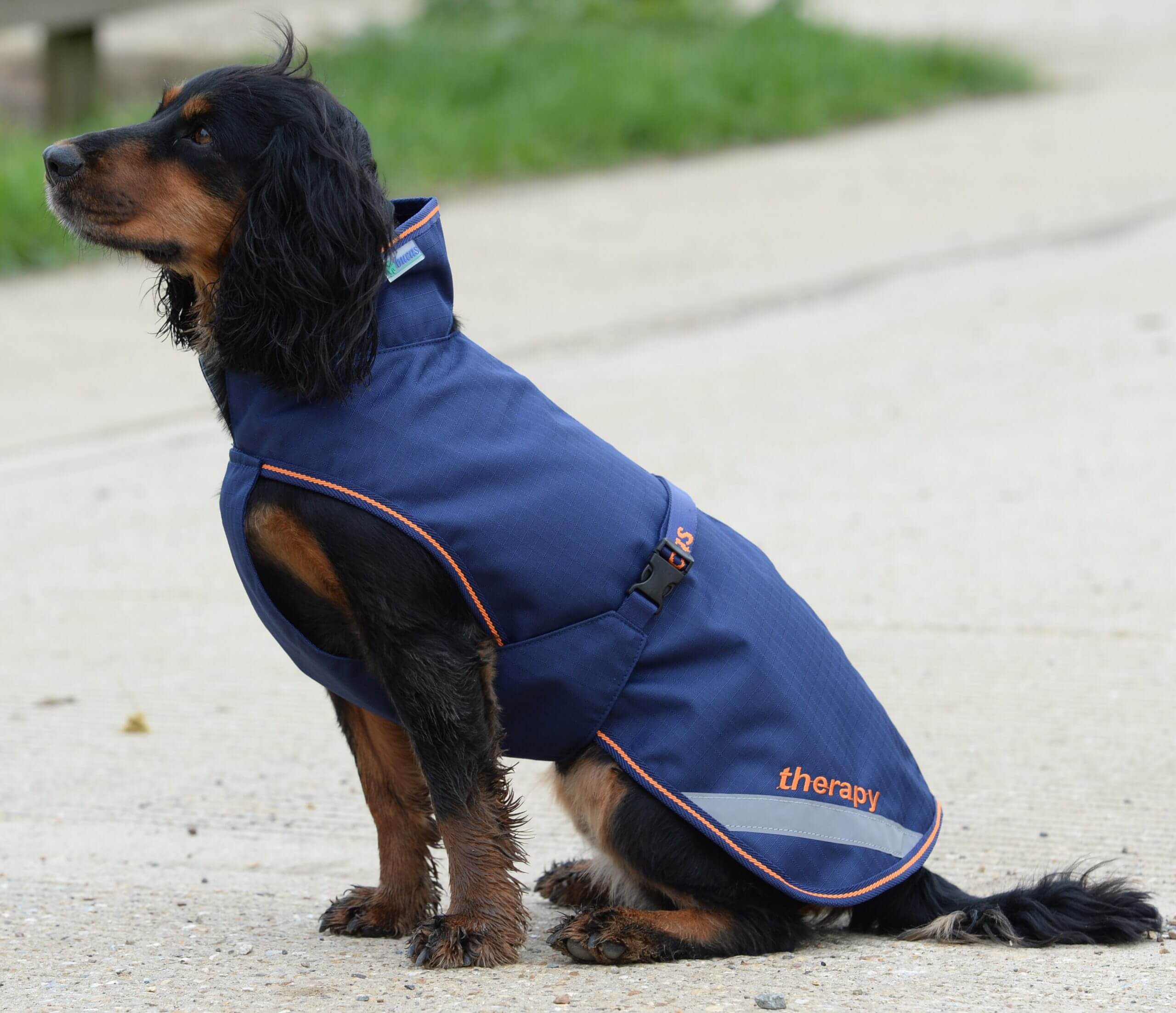 Hundedecke 0g Therapy Dog Rug Hundemantel