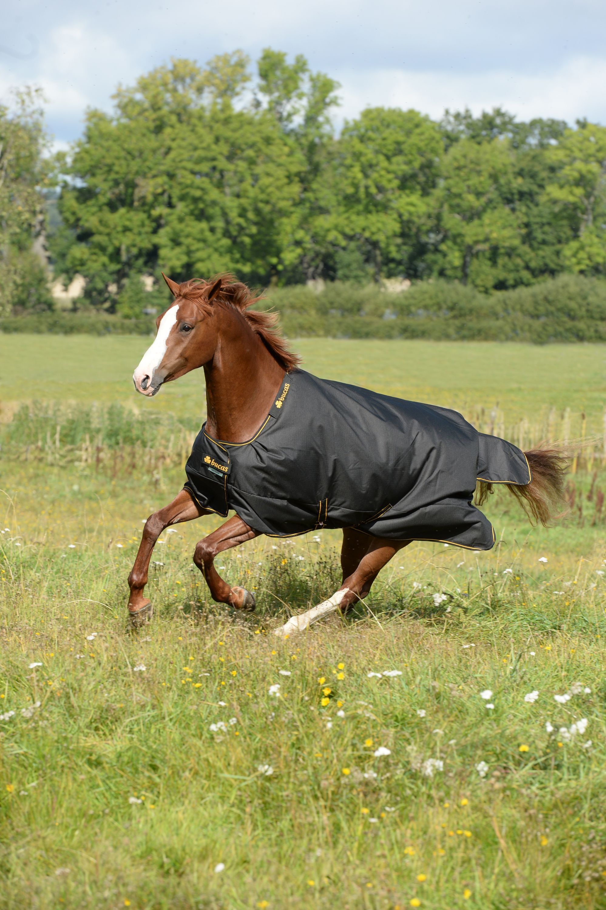 Outdoordecke 300g Irish Turnout