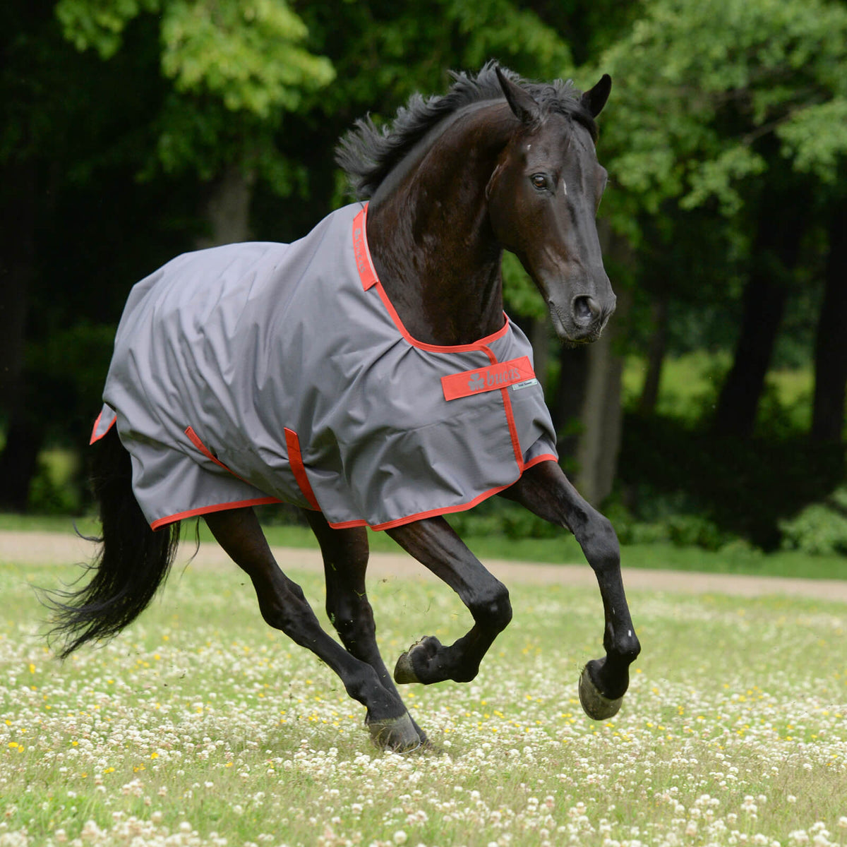 Outdoordecke 50g Irish Turnout Light Weidedecke