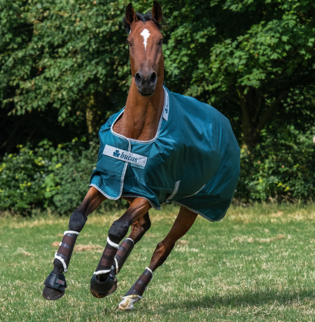 Outdoordecke 200g Atlantic Turnout Weidedecke