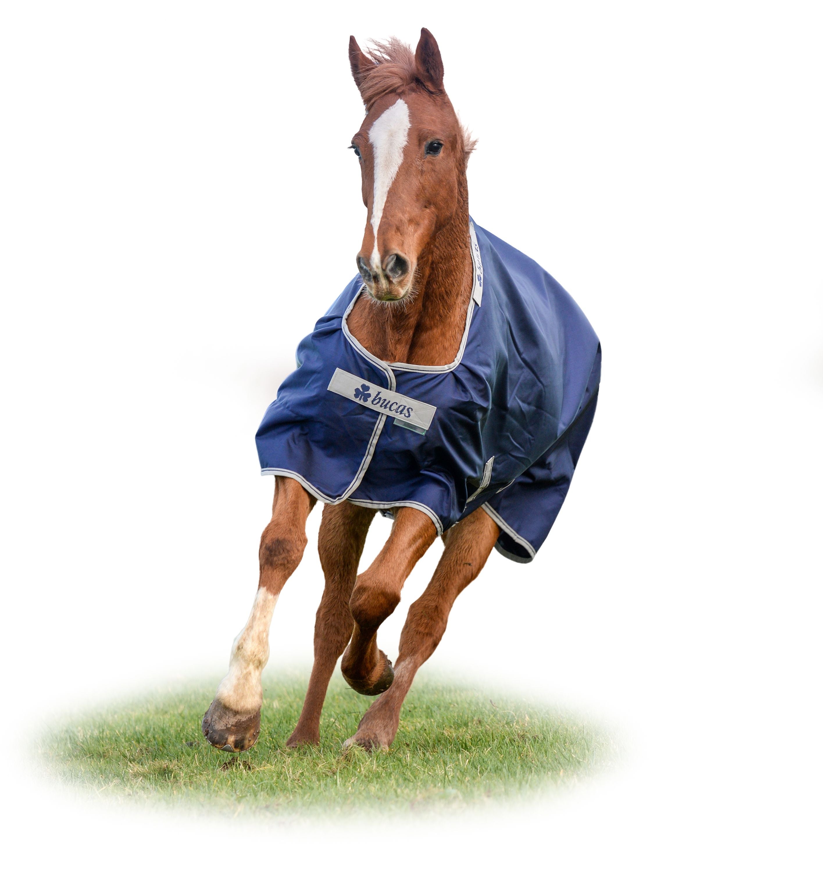 Outdoordecke 200g Atlantic Turnout Weidedecke