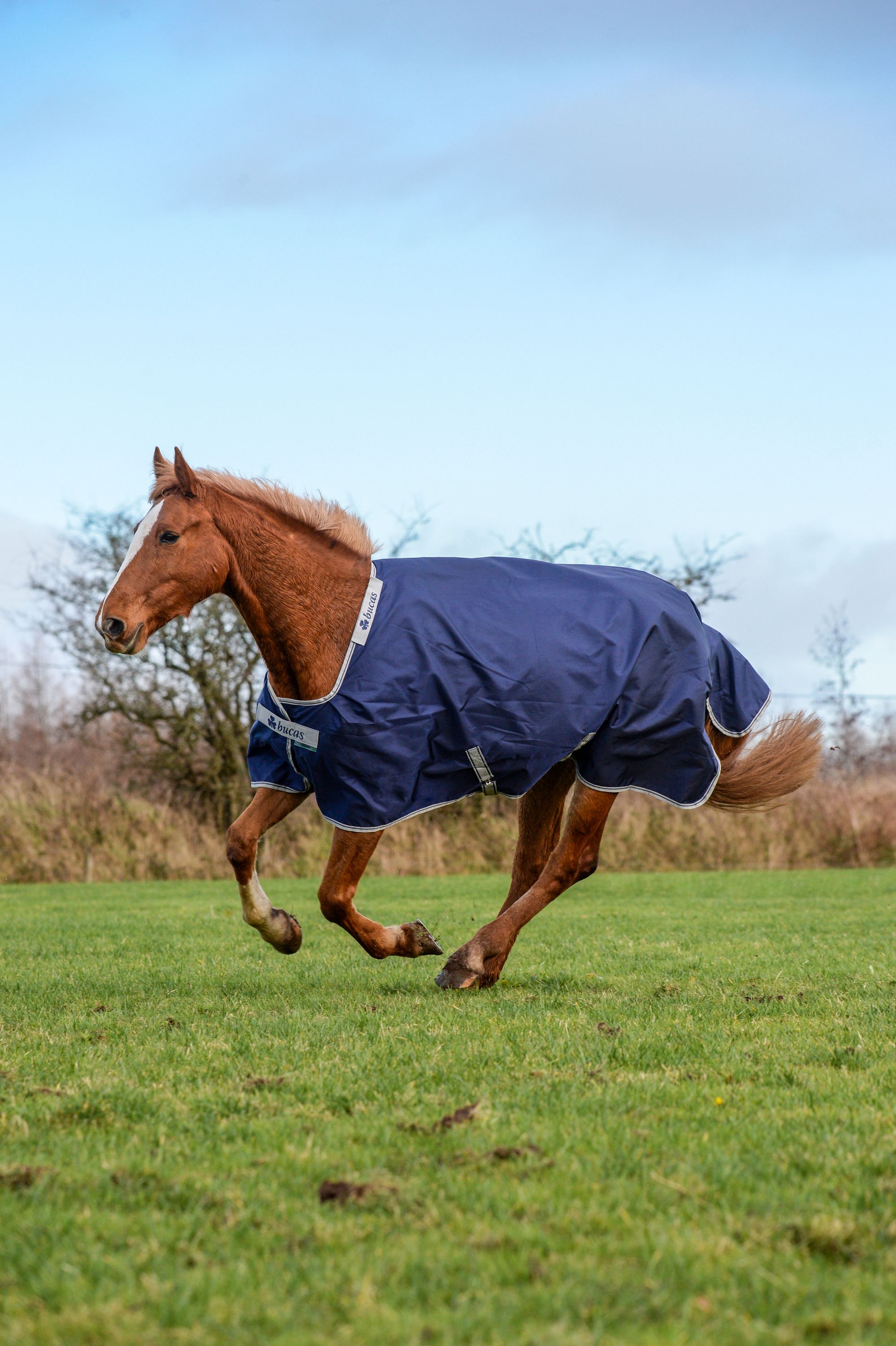 Outdoordecke 200g Atlantic Turnout Weidedecke