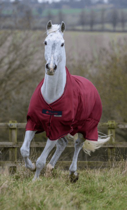 Outdoordecke 150g Freedom Turnout HW 2022