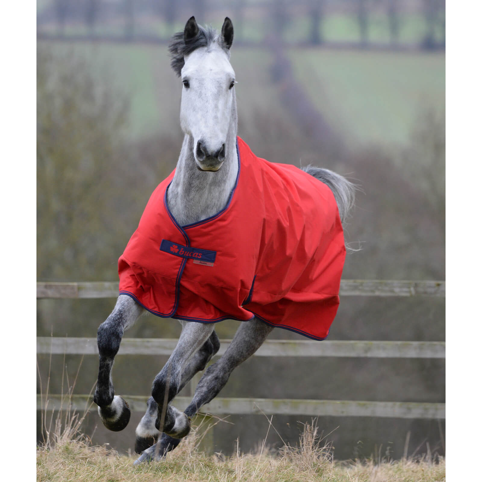 Outdoordecke 150g Freedom Turnout HW 2022
