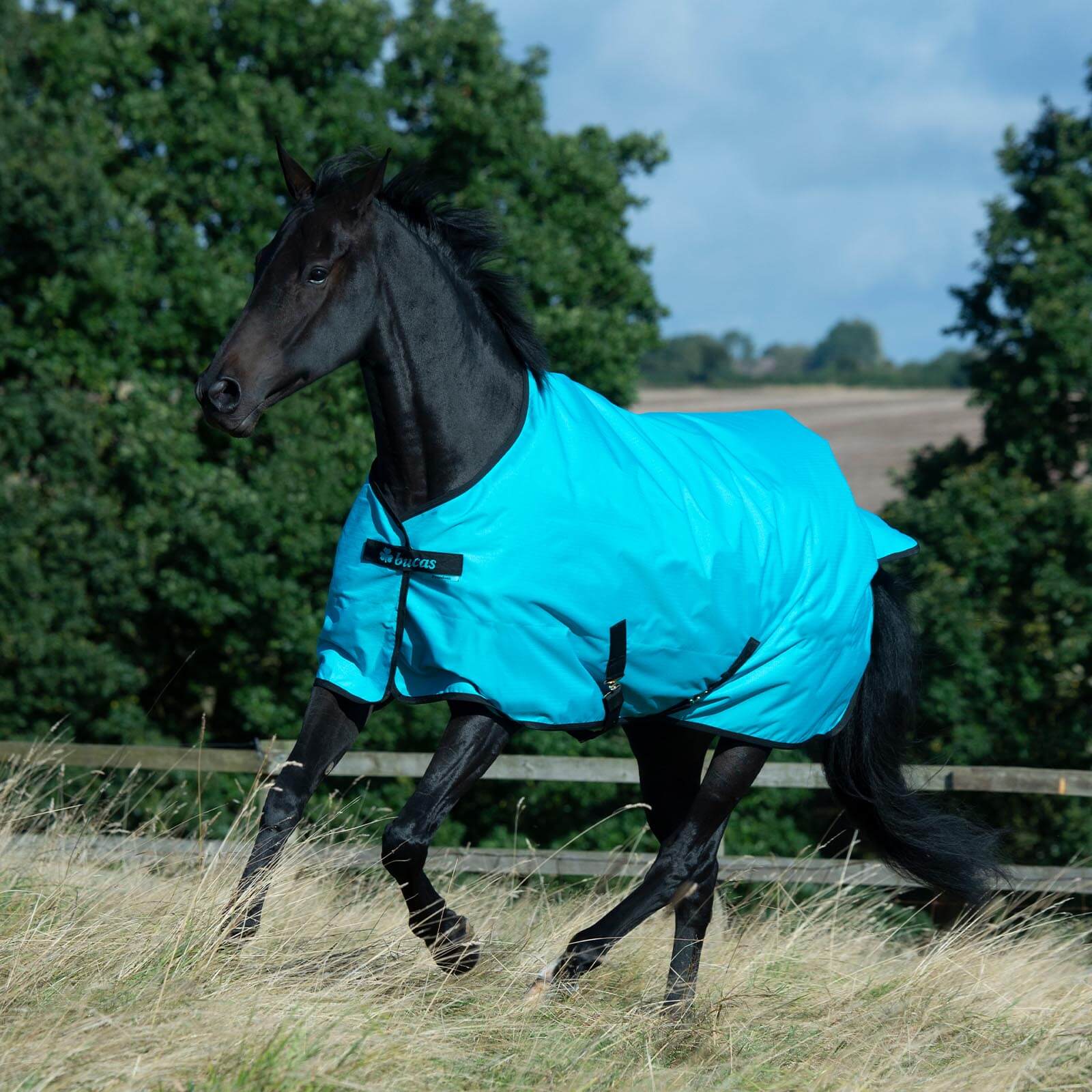 Outdoordecke 0g Freedom Turnout Light Regendecke