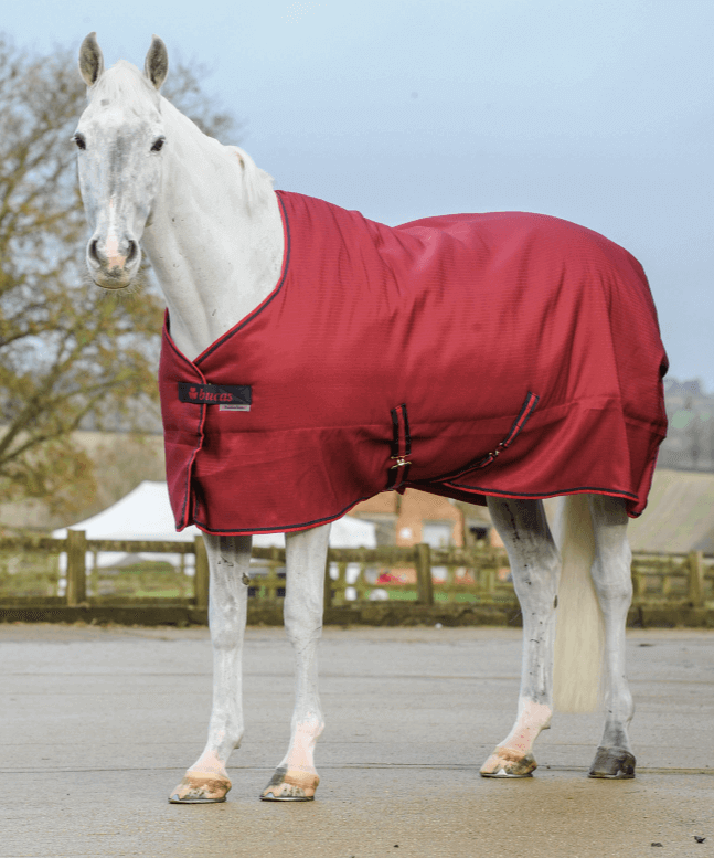 Stalldecke 150g Freedom Stable HW 2022