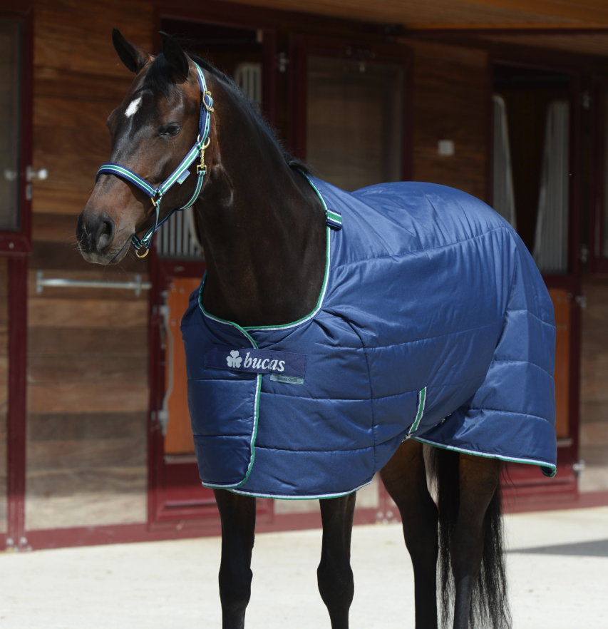 Bucas Unterdecke 300g Quilt Stay Dry, Navy, Pferd trägt die Unterdecke im Stall.