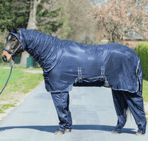 Navy (Grau)