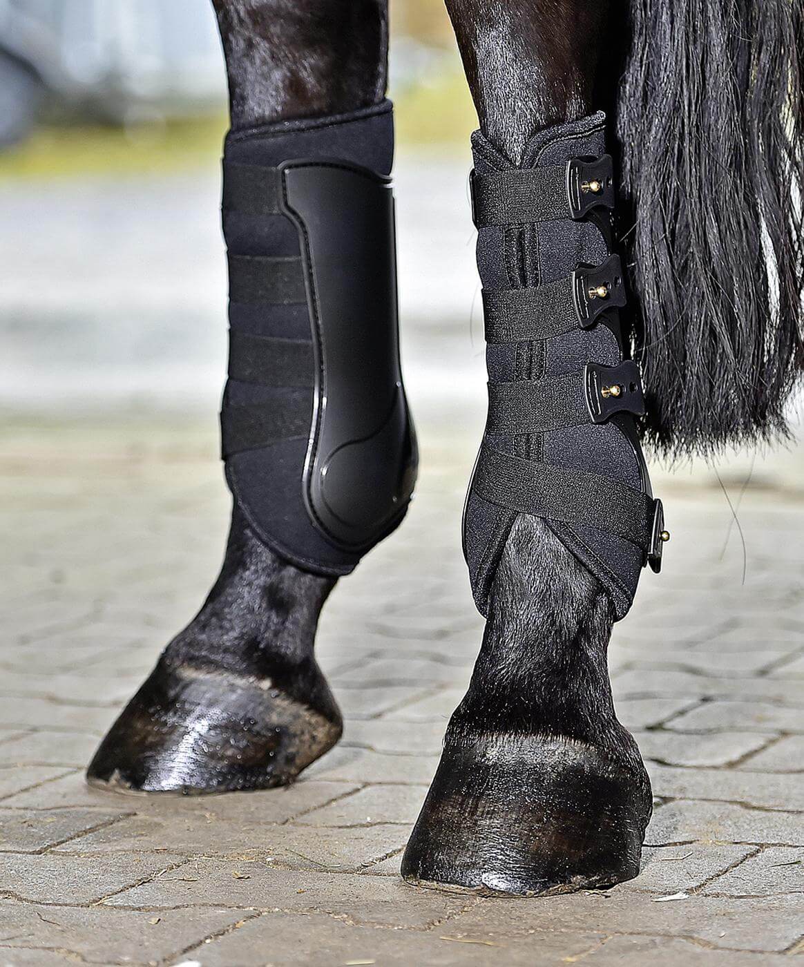 Gamaschen Dressage- Pro Beinschutz