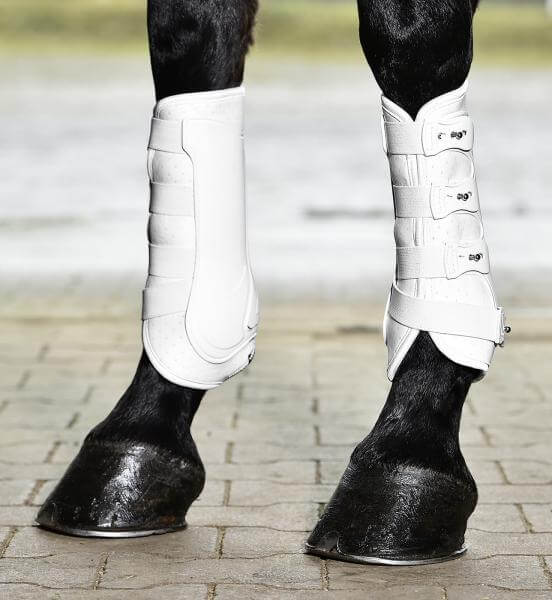 Gamaschen Dressage- Pro Beinschutz