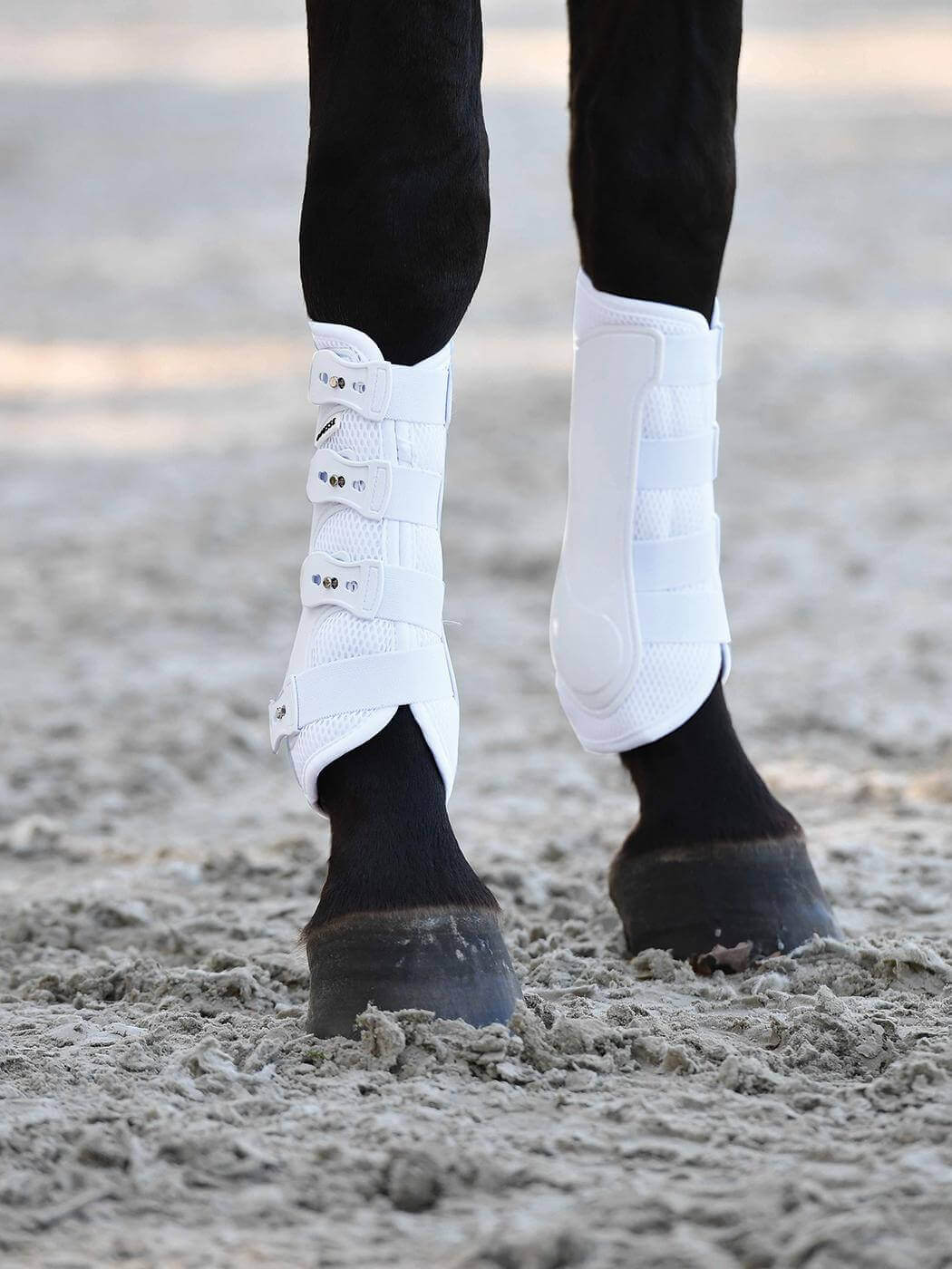 Gamaschen Dressage-Pro-Mesh