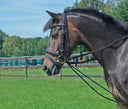 Schwarz