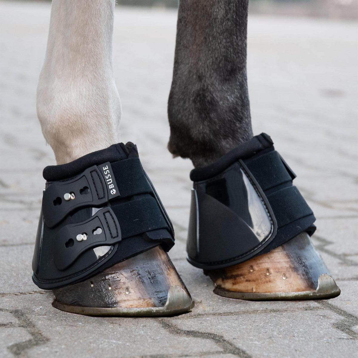 Hufglocken Pro-Stud