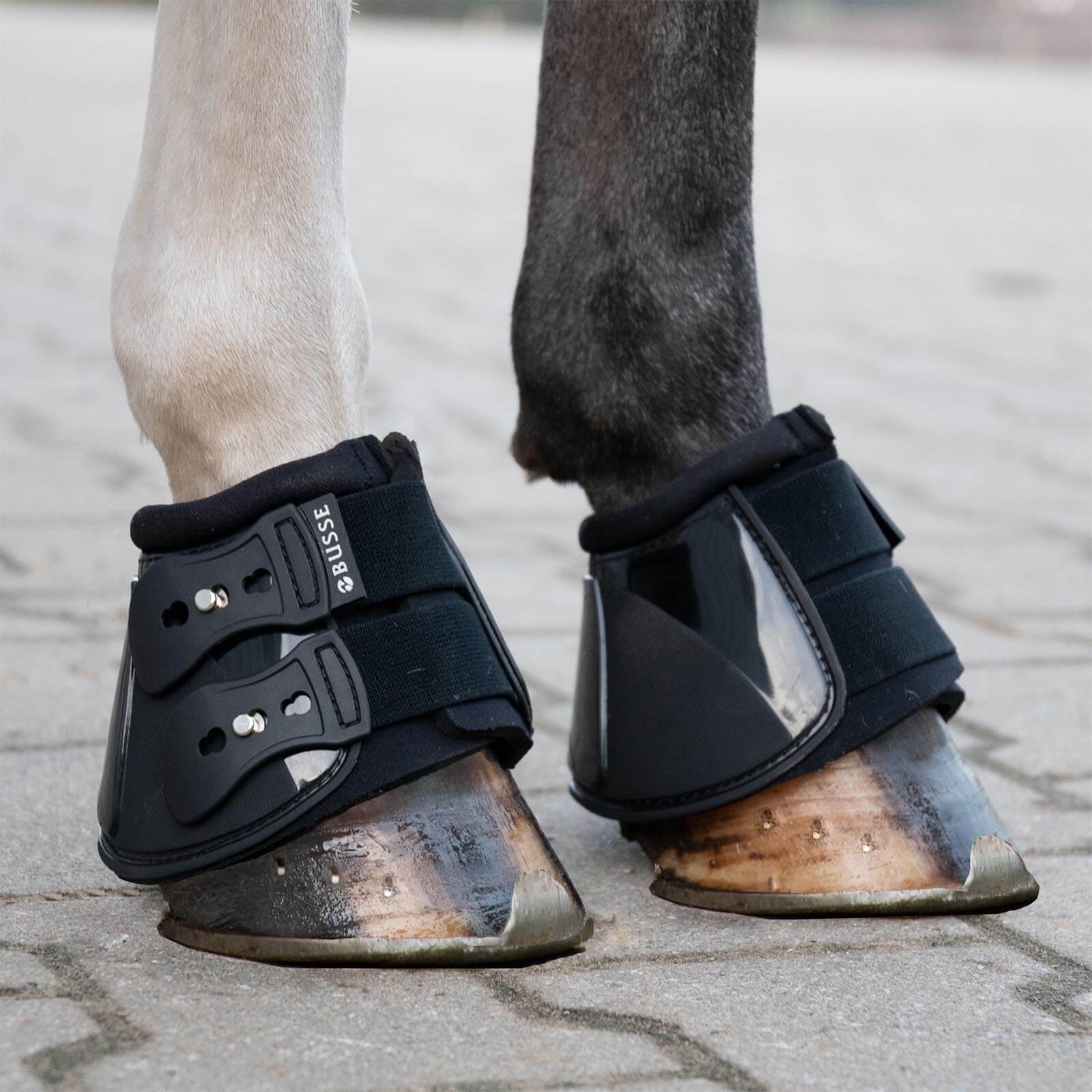 Hufglocken Pro-Stud