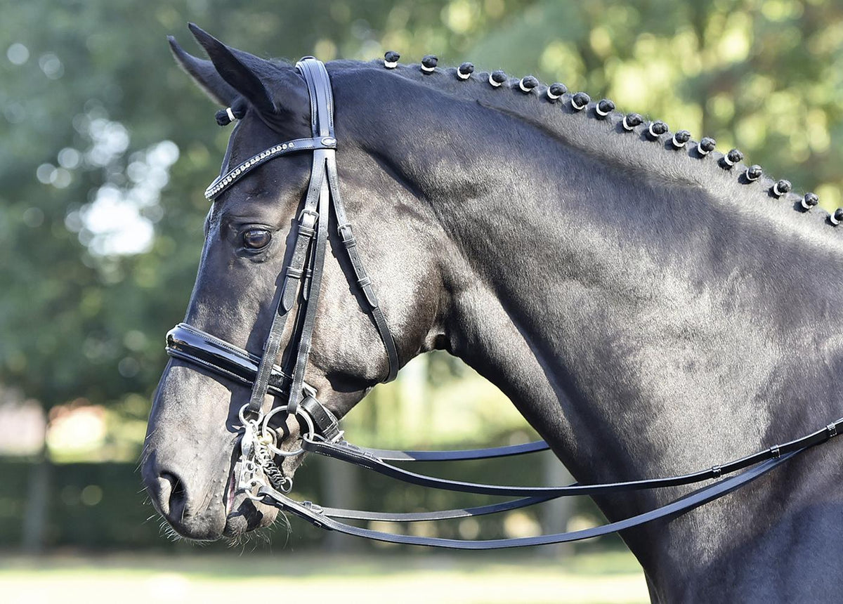 Kandare Luxury Kandarenzaum Lederkandare mit Zügel