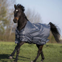 Grau (Navy)