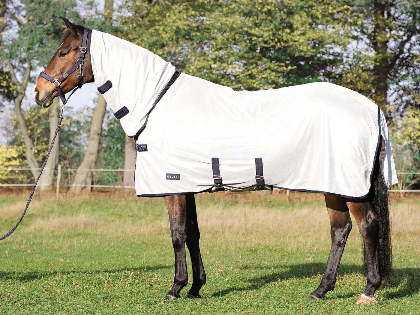 Paddock-Fliegendecke Superb
