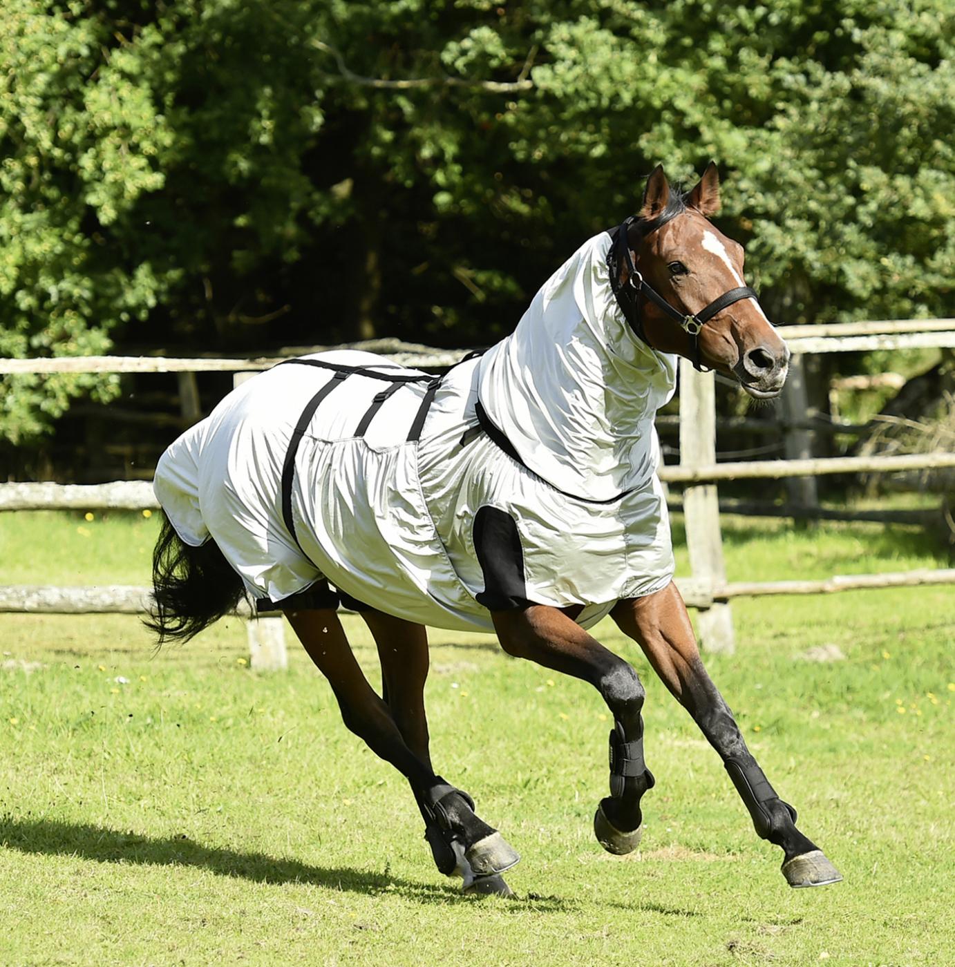Ekzemerdecke Strong Fliegendecke