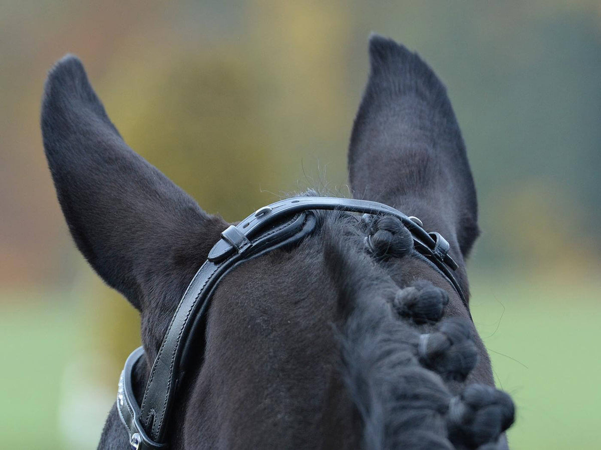 Trense Emotion Reithalfter Trensenzaum mit Zügel