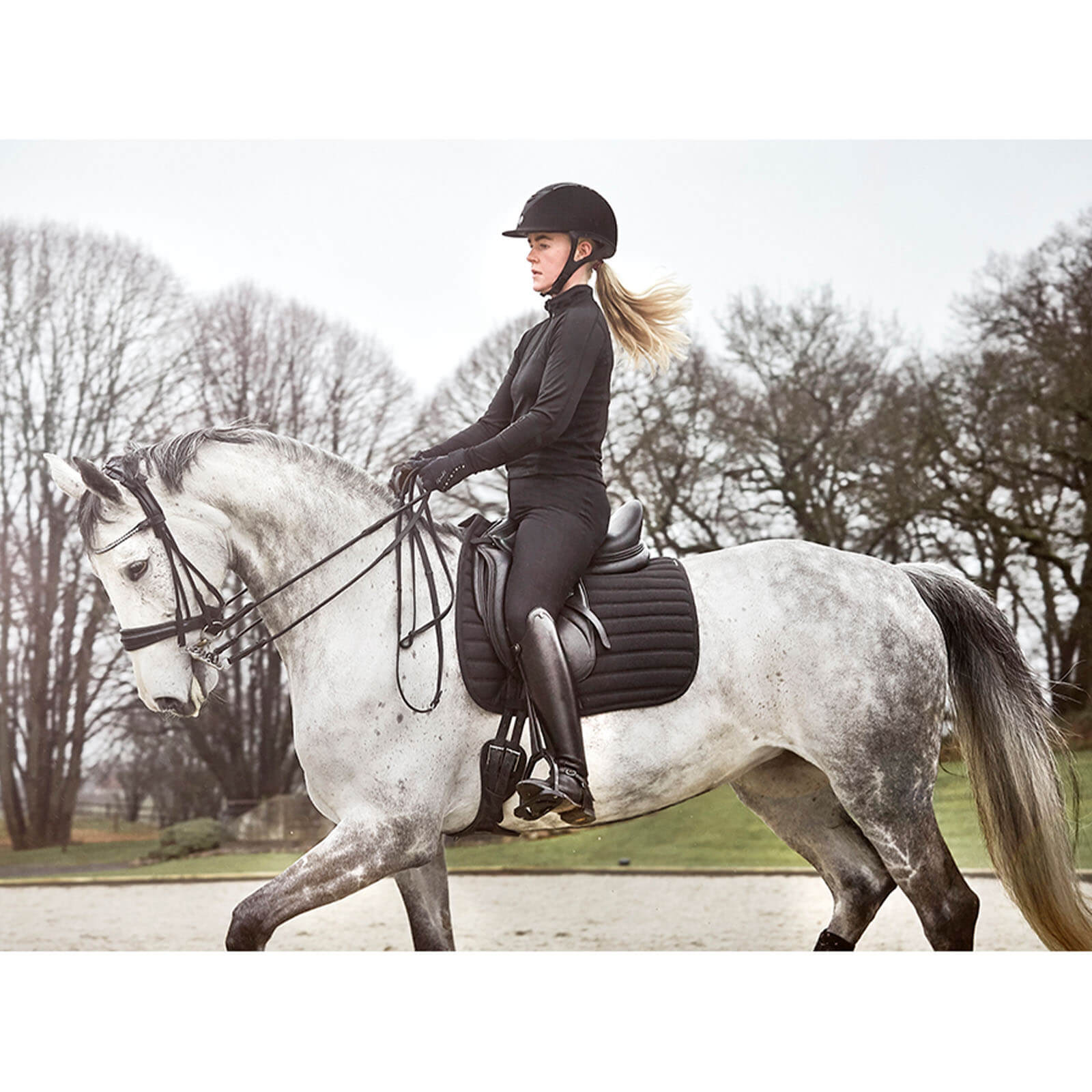 Schabracke Dressur Hybrid Dressurschabracke