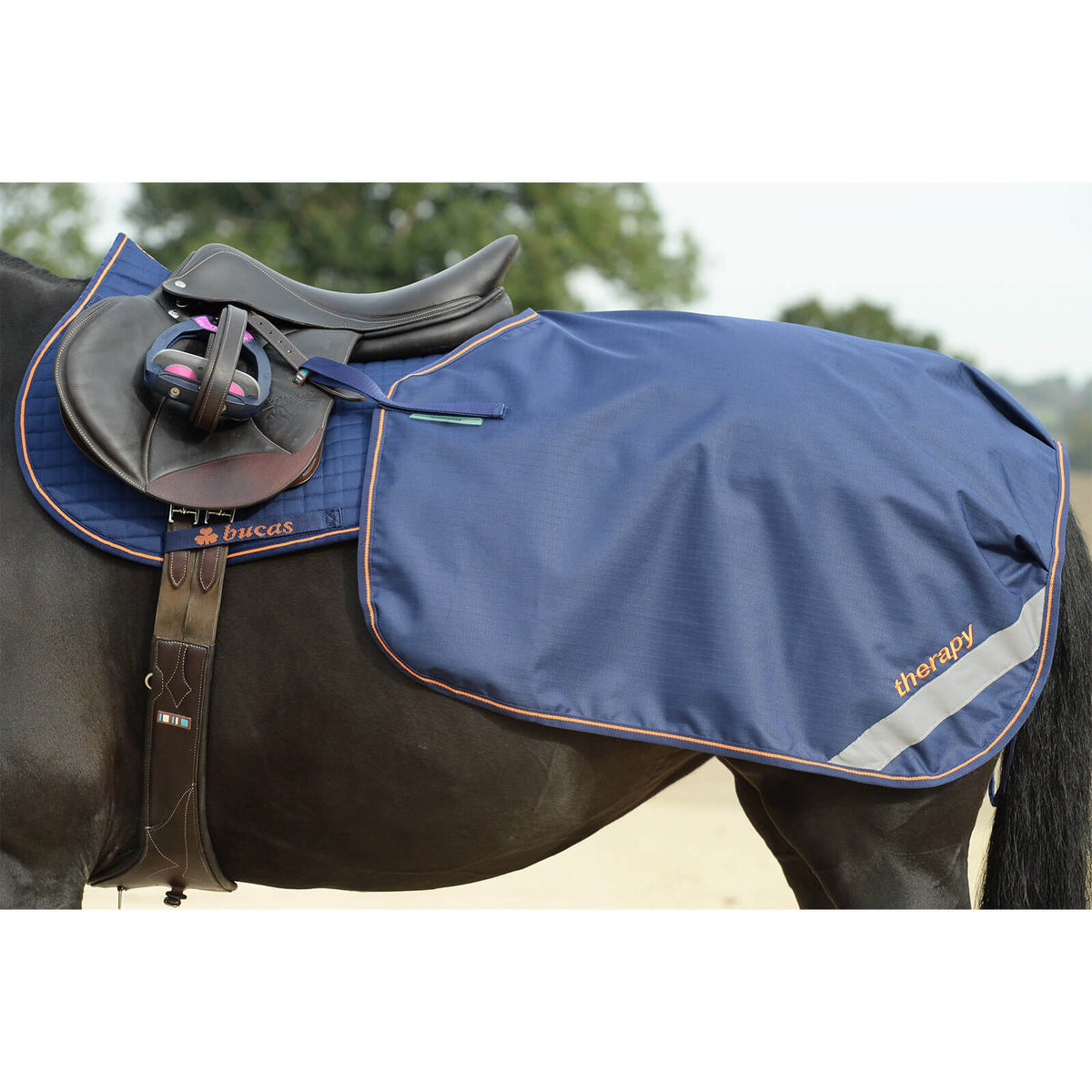 Therapie-Nierendecke Ausreitdecke Bucas Therapy Quarter Sheet