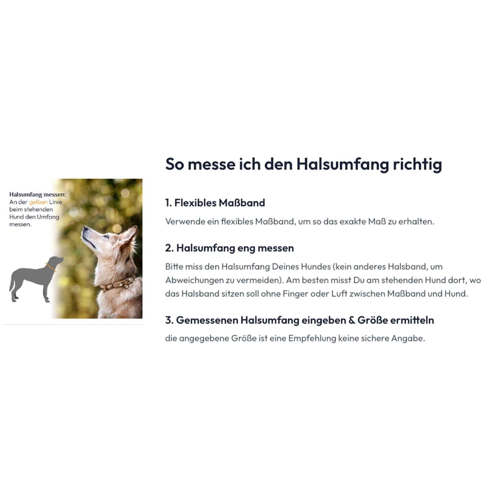 Halsband Aldon ohne Perlen Tauhalsband Hundehalsband