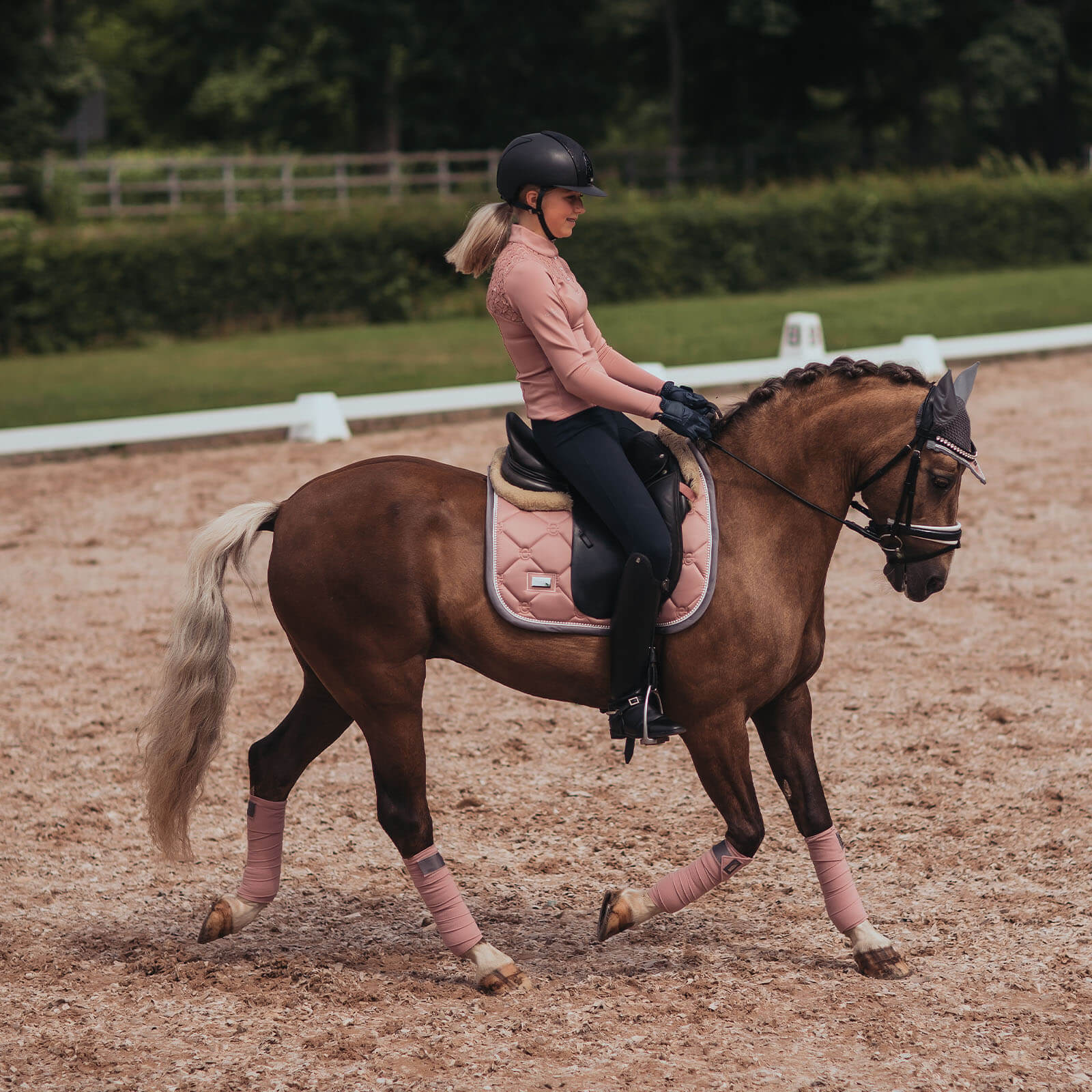 Dressurschabracke Pink Pearl Schabracke