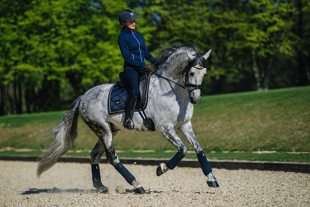 Dressurschabracke Royal Classic