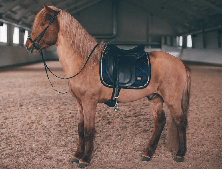 Dressurschabracke Royal Classic COB