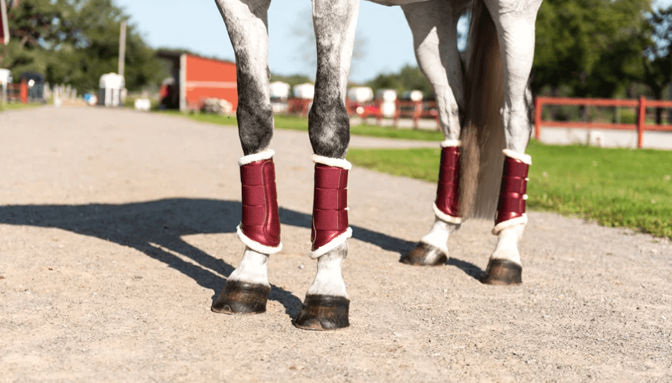 Gamaschen Bordeaux Beinschutz