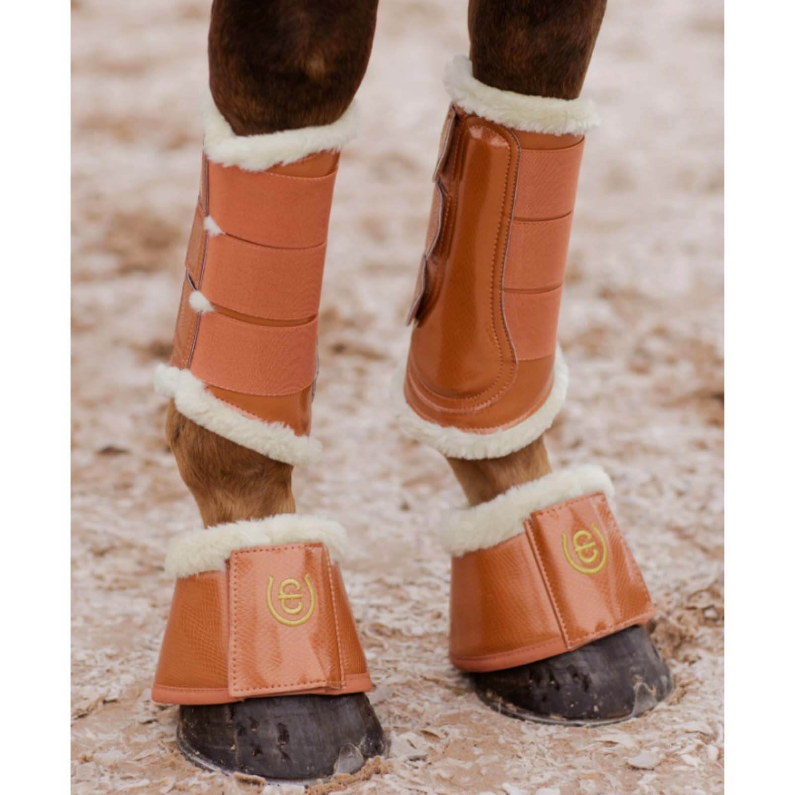 Gamaschen Bronze Gold FS 2022 Beinschutz