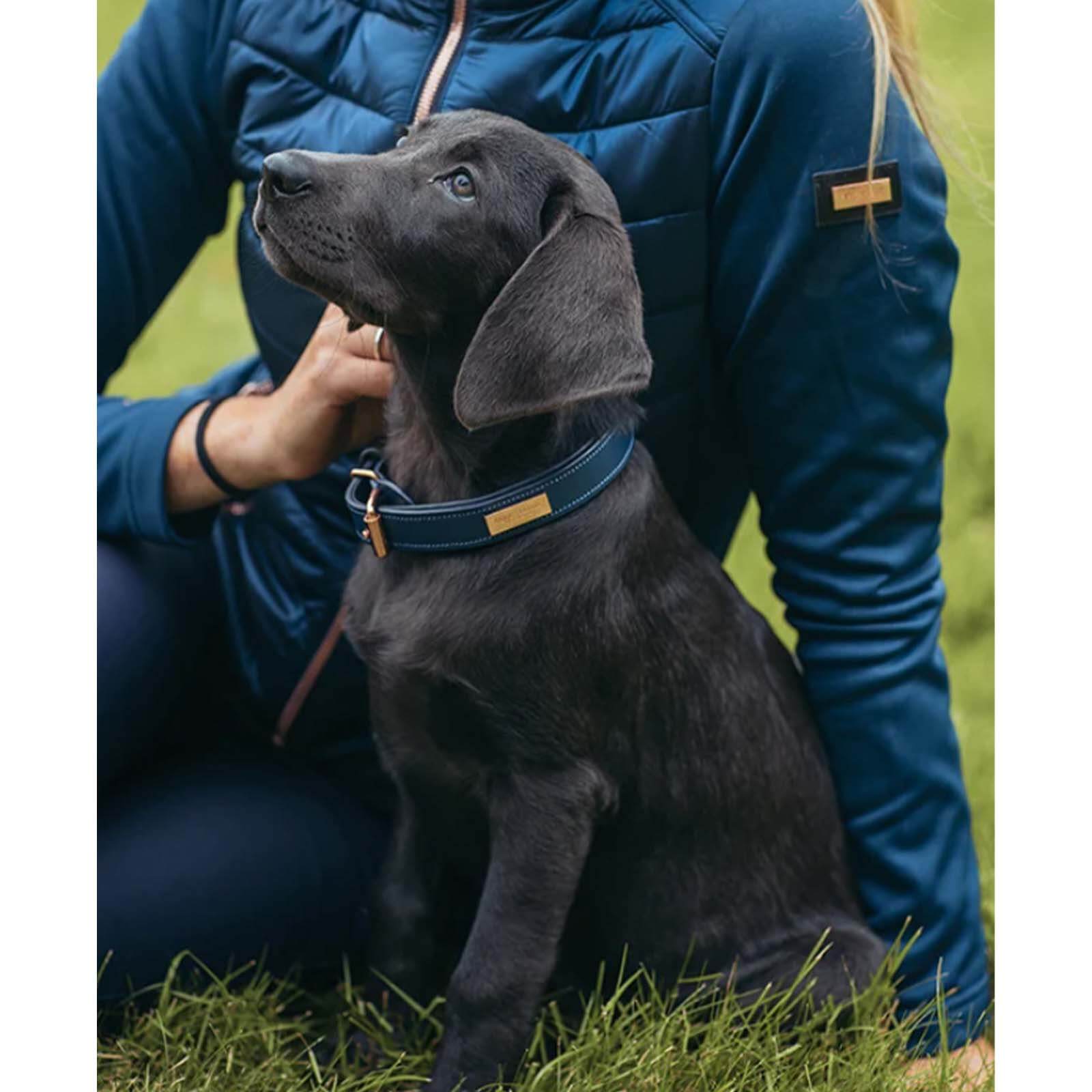 Hundehalsband Monaco Blue HW 2021