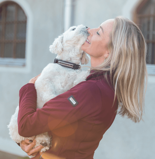 Hundehalsband Strasssteine Bordeaux Crystal