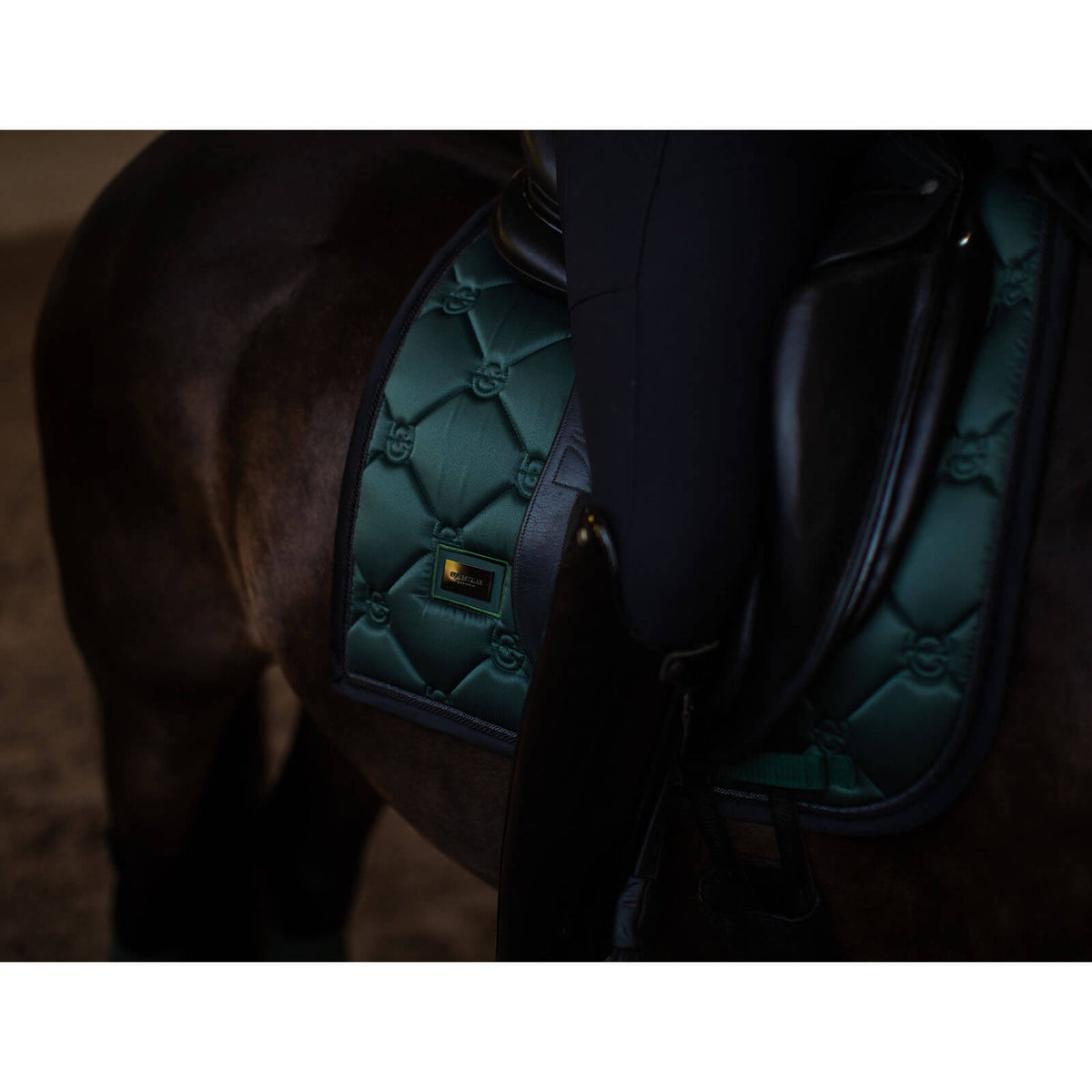 Equestrian Stockholm Schabracke Sycamore Green Dressurschabracke, Sycamore Green, Detailaufnahme am Pferd.