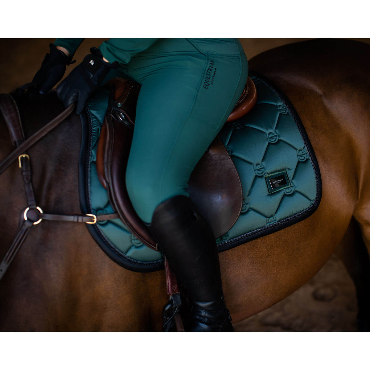 Equestrian Stockholm Schabracke Sycamore Green Springschabracke, Sycamore Green, am Pferd unter dem Sattel.