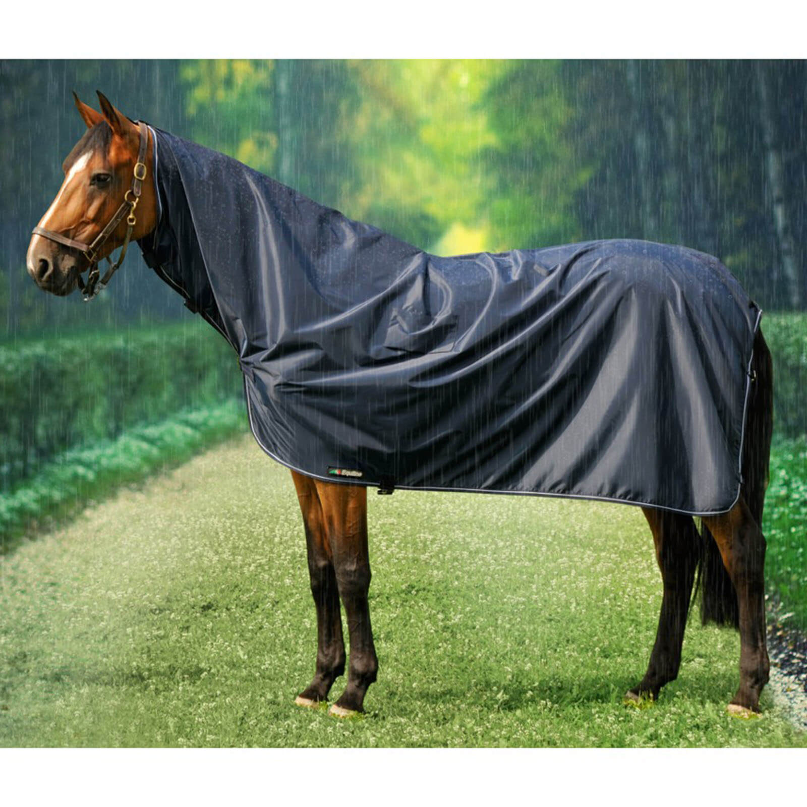 Regendecke Corby HW 2022