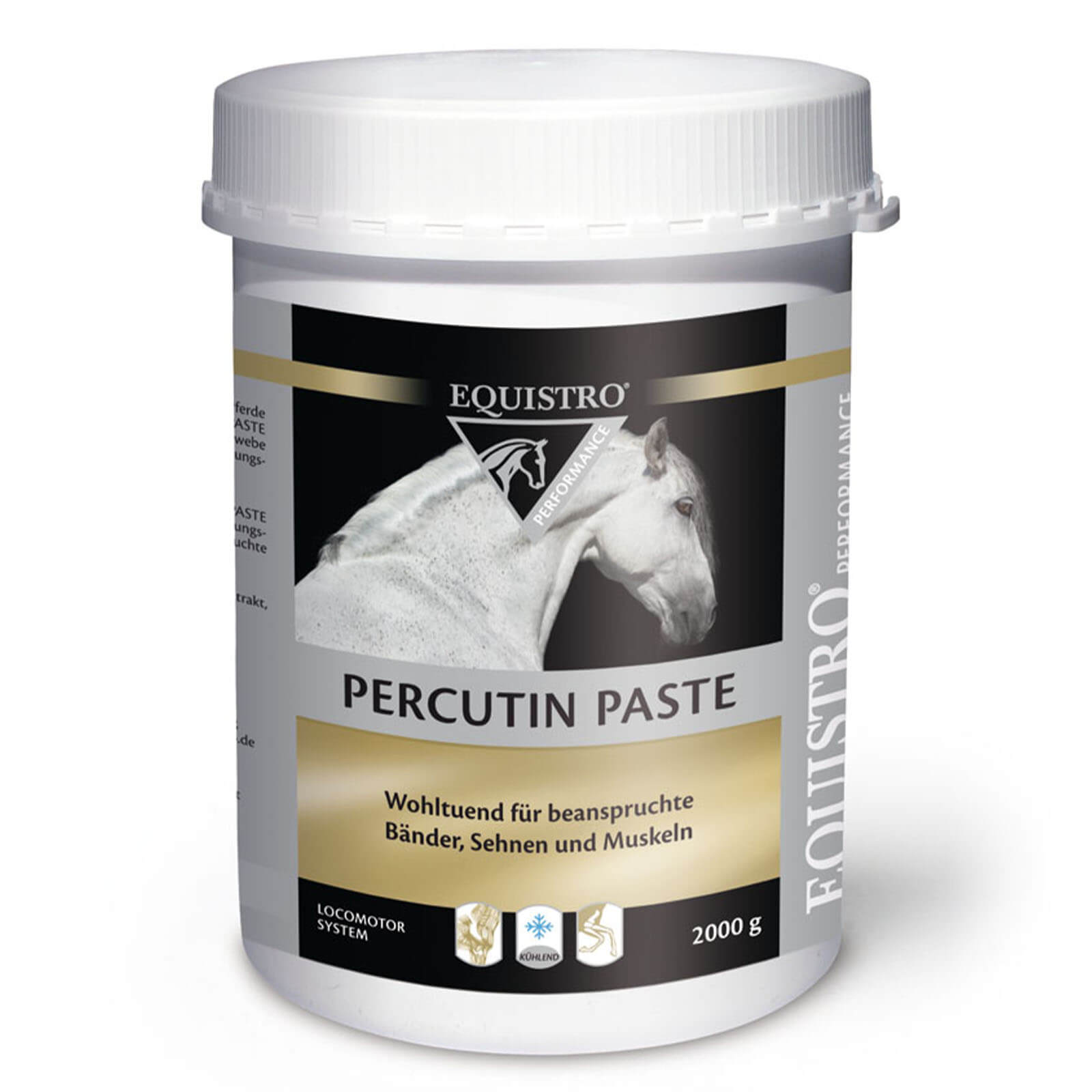 Kühlpaste Percutin Paste